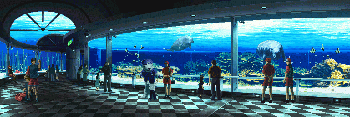 *06 - AQUARIUM - ˮ