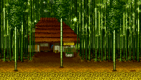 -KOCHI-ʮ